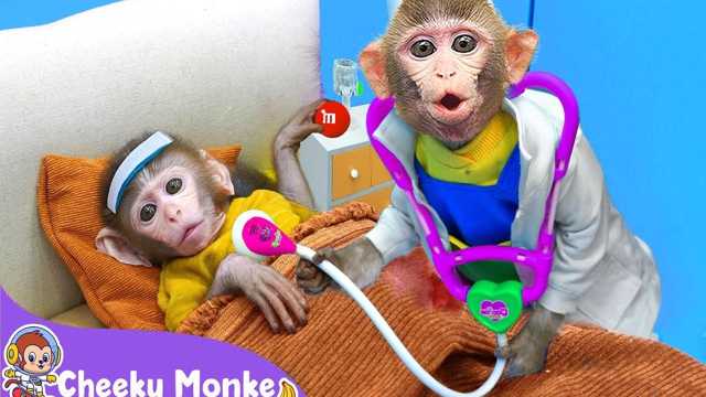 Playtime Video: Monkey KiKi helps a lot!